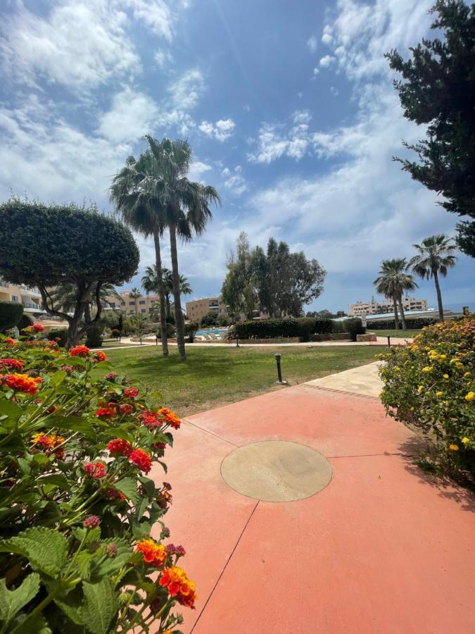 Direct Sea View & Quality Bed - Kings Palace 1 Bed Paphos Exterior foto
